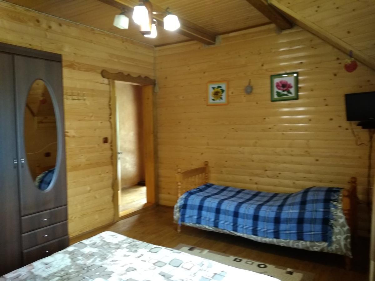 ヤレムチャ Затишок В Карпатахヴィラ エクステリア 写真