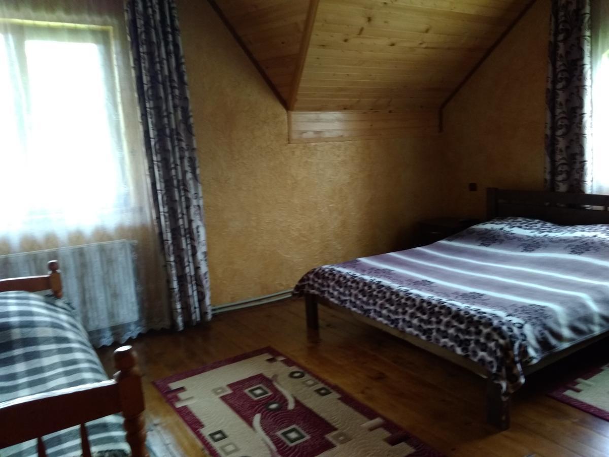 ヤレムチャ Затишок В Карпатахヴィラ エクステリア 写真